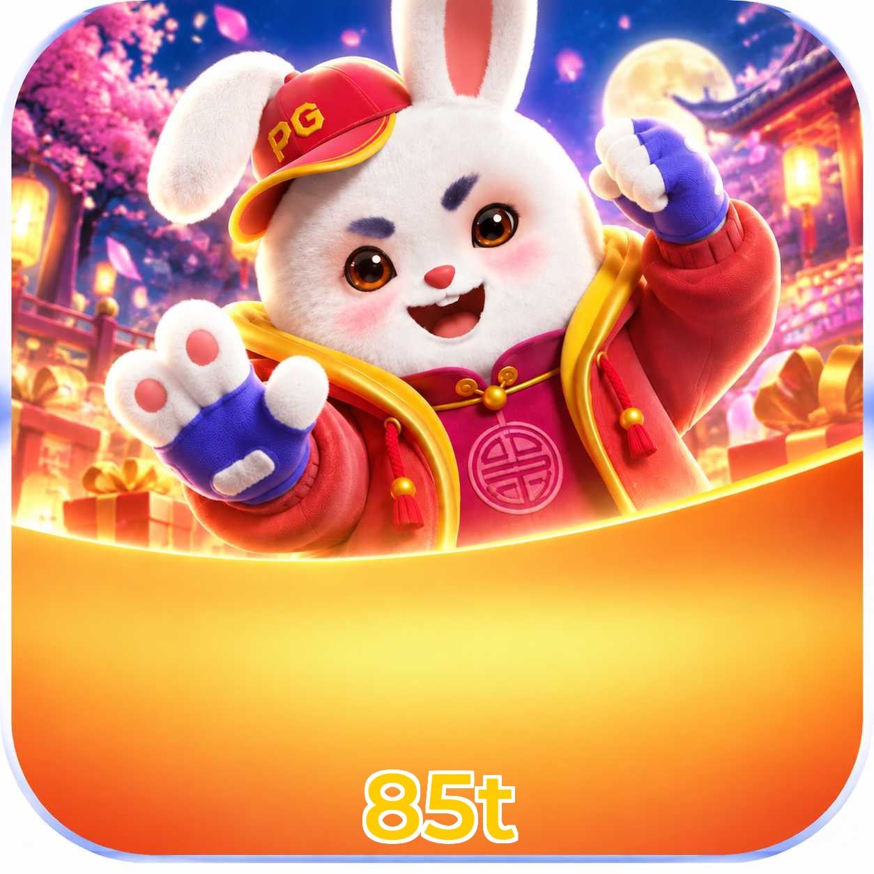 85t FAQ