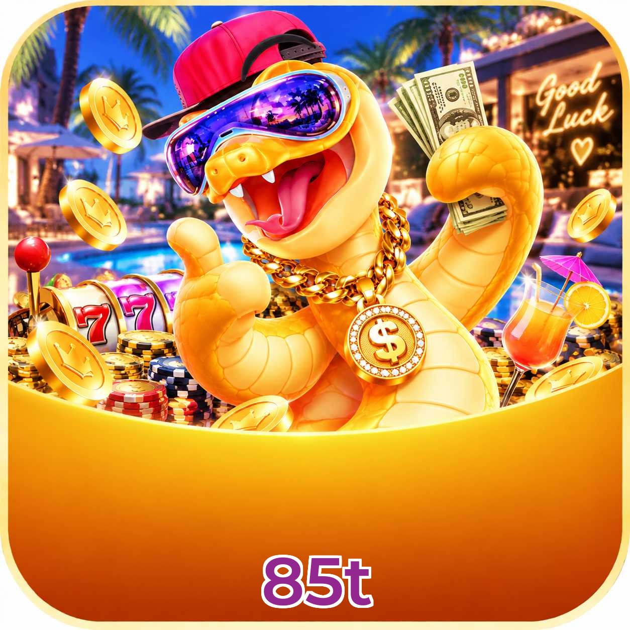 85t FAQ